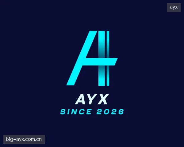 解读ayx中心